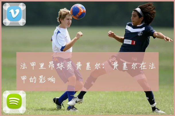 法甲里昂球员费基尔:费基尔在法甲的影响