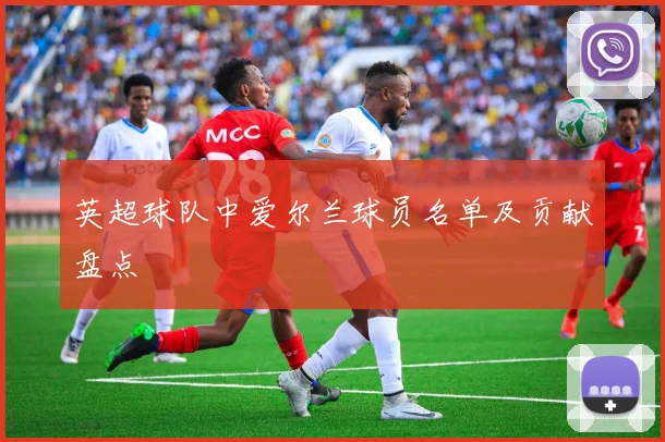 英超球队中爱尔兰球员名单及贡献盘点