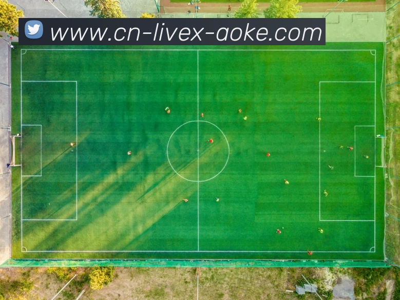 澳客足彩平台生态图