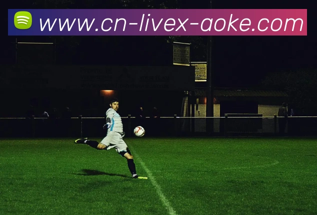 辅助工具 辅助工具